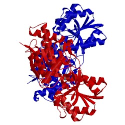 Image of CATH 4rv5