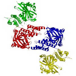 Image of CATH 4rv6