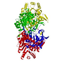 Image of CATH 4rv8