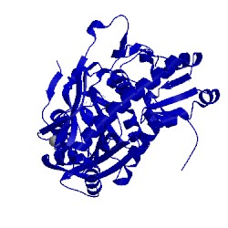 Image of CATH 4rv9