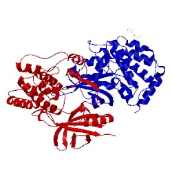 Image of CATH 4rvt