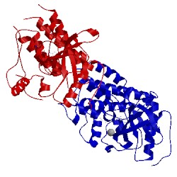 Image of CATH 4rwk