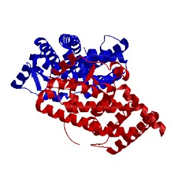 Image of CATH 4s15