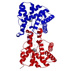 Image of CATH 4s1b
