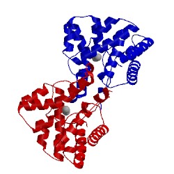 Image of CATH 4s1c