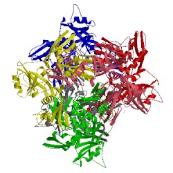 Image of CATH 4s1t