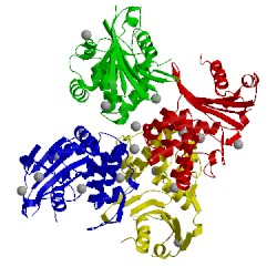 Image of CATH 4s2m