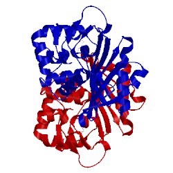 Image of CATH 4s2p
