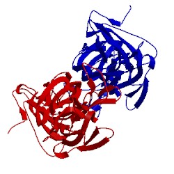 Image of CATH 4s3l