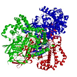 Image of CATH 4s3q