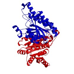 Image of CATH 4tkl