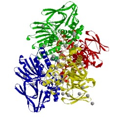 Image of CATH 4tm1