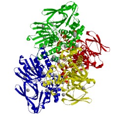 Image of CATH 4tm4