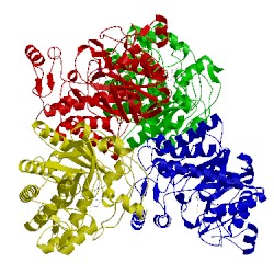 Image of CATH 4tmc