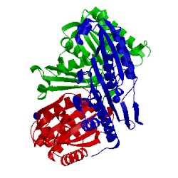 Image of CATH 4tme