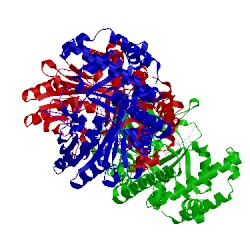 Image of CATH 4tmr
