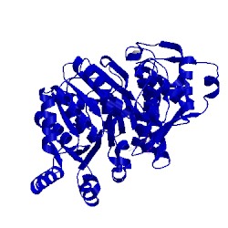 Image of CATH 4tmu