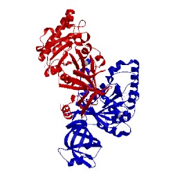 Image of CATH 4tmv