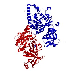 Image of CATH 4tmx