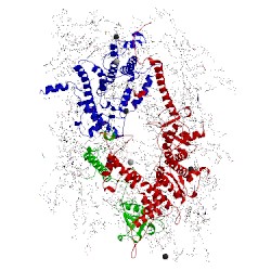 Image of CATH 4tnh