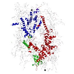 Image of CATH 4tnj