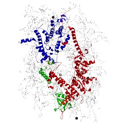 Image of CATH 4tnk