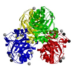 Image of CATH 4toq