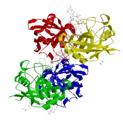Image of CATH 4tot