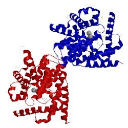 Image of CATH 4tpp