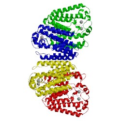 Image of CATH 4tq4