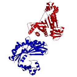 Image of CATH 4tqs