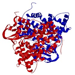 Image of CATH 4tri