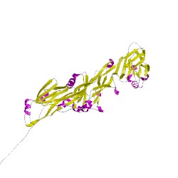 Image of CATH 4tshB