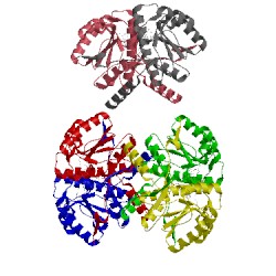 Image of CATH 4ttc