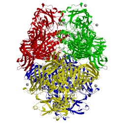 Image of CATH 4ttg