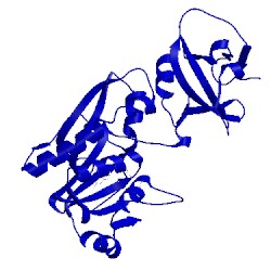 Image of CATH 4tts