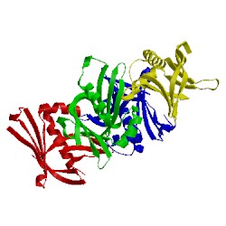 Image of CATH 4ttz