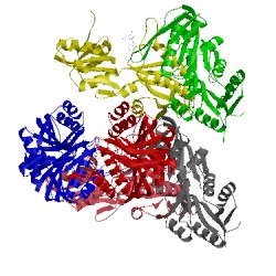Image of CATH 4twb
