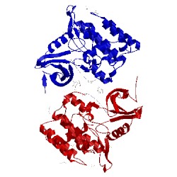 Image of CATH 4twc