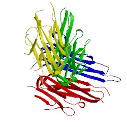 Image of CATH 4twt