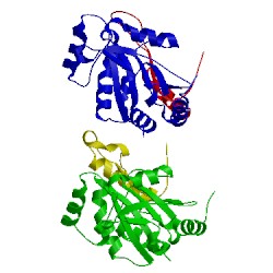 Image of CATH 4txv