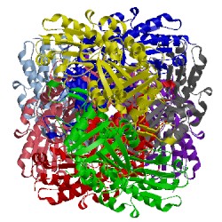Image of CATH 4u2h