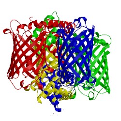 Image of CATH 4u2v