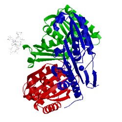 Image of CATH 4u6i