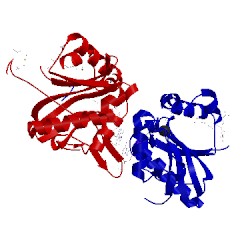 Image of CATH 4ua3