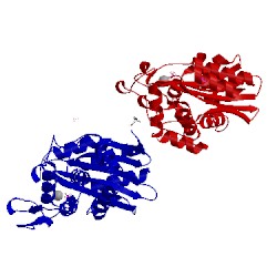 Image of CATH 4ua6
