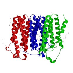 Image of CATH 4uc1