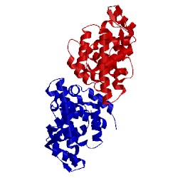Image of CATH 4ucb
