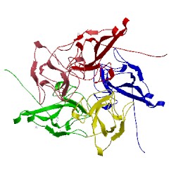 Image of CATH 4ud1