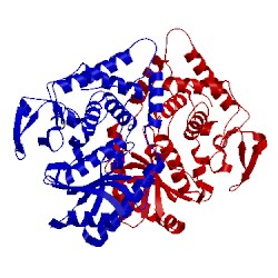Image of CATH 4ud5